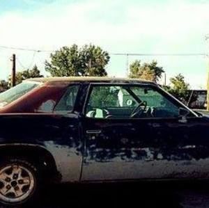 Meet your Posher, Nicholas